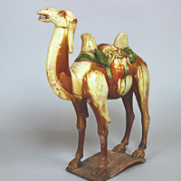 『三彩駱駝　中国　唐時代・7～8世紀　横河民輔氏寄贈』の画像