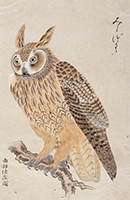 Image of "Album of Birds: Mountain Birds, Vol.1, Compiled by Hotta Masaatsu, Edo period, 18th-19th century"