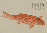 『虫豸帖 冬（部分）　増山雪斎筆　江戸時代・19世紀』の画像