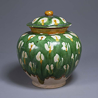 Image of "Jar, Three-color glaze with plum blossoms design, High-Tang dynasty, 8th century (Gift of Mr. Hirota Matsushige)"