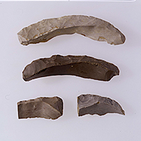 Image of "Spalls, Excavated at Araya Site, Nagaoka-shi, Niigata, Paleolithic period, 16000 BC (Gift of Mr. Hoshino Ryo)"