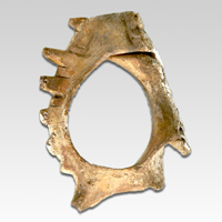 Image of "Shell Bracelet, Excavated at Ikusabara Tumulus, Nanokaichi, Izumo-shi, Shimane, Kofun period, 4th century"