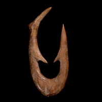 Image of "FishhookExcavated at Hibiki Shell Mound, Higashi Matsushima-shi, Miyagi, Jomon period, 2000-400 BC"