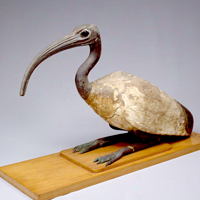 Image of "Ibis, Excavated at Tuna el-Gebel, Egypt, Ptolemaic period, ca. 323–30 BC (Gift of the Egyptian government)"