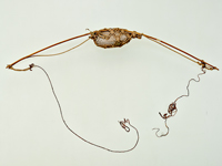 Image of "Squid Fishing Tackle, Hokkaidō Ainu, 19th century (Transferred from the Bureau for the Vienna World Exposition)"