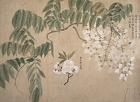 『写生帖　円山応挙筆　江戸時代・18世紀』の画像
