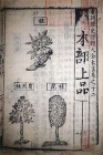 『経史証類大全本草(部分)　宋・唐愼微編　明時代・万暦28年(1600)刊』の画像