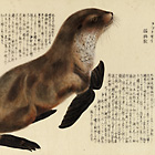 『博物館獣譜（部分）　博物局編　江戸～明治時代・19世紀』の画像