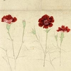 Image of "Sketches of Flowering Plants: Autumn (detail), By Kano Tan'yu, Edo period, 17th century"