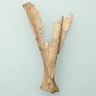 Image of "Oracle Bone (detail), Excavated from Miyamaegawa Kitasaya Site, Matsuyama, Ehime, Kofun period, 4th century"