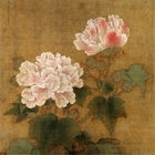 Image of "Red and White Cotton Roses (detail), By Li Di, Southern Song dynasty, dated 1197 (National Treasure, On exhibit through January 9, 2017)"