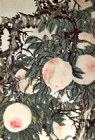 Image of "Flowering Plants (Detail), By Zhao Zhiqian, Qing dynasty, dated 1870 (Gift of Mr. Takashima Kikujiro)"