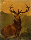 Image of "Monarch of the Glen, Original by Edwin Henry Landseer, 19th century (Gift of Glasgow Museum)"