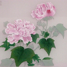 美品 2046 李迪 「紅白芙蓉図」 紙本 日本画 掛軸 おもてなし