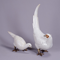 『親と子のギャラリー　トーハクでバードウォッチング―キジやクジャク、鳳凰が勢ぞろい―』の画像