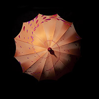 『フランス人間国宝展』の画像