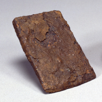 Image of "Daily Tools of the Yayoi Period"
