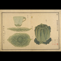 『歴史の記録』の画像