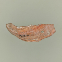 『弥生時代の暮らしの道具』の画像