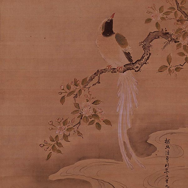 Image of "Blue Magpie (detail), By Kanō Tan'yū, Edo period, 1670"