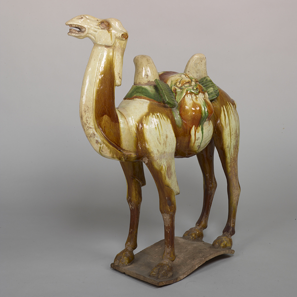 Image of "Camel Three-color glaze, Tang dynasty, 7th-8th century, Gift of Dr. Yokogawa Tamisuke"