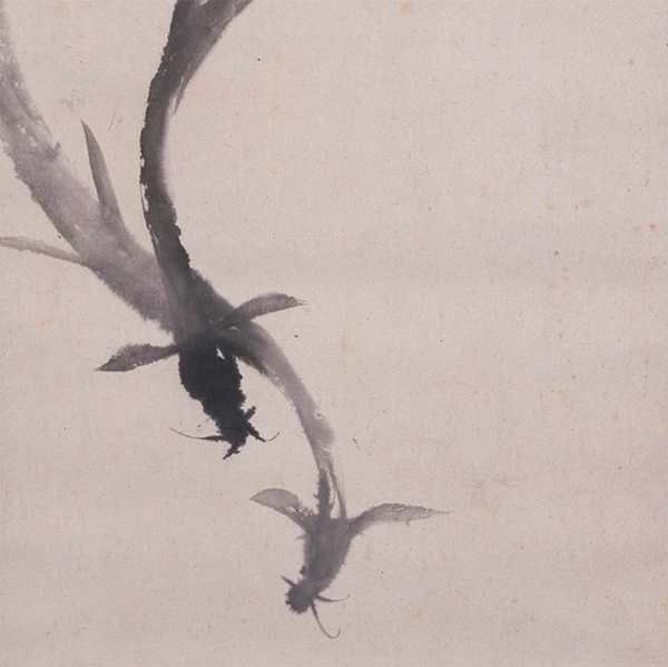 『鰻図（部分）林十江筆　江戸時代・19世紀』の画像