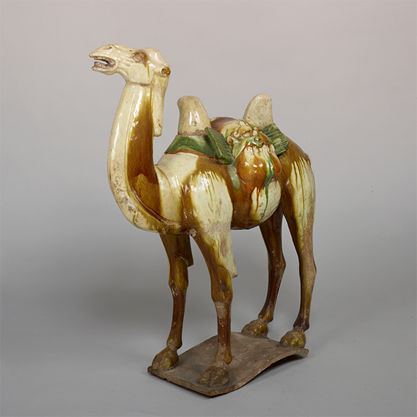 Image of "Camel, China, Tang dynasty, 7th–8th century (Gift of Dr. Yokogawa Tamisuke)"