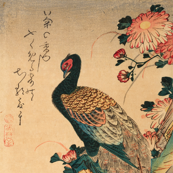 Image of "Pheasant and Chrysanthemums (detail), By Utagawa Hiroshige, Edo period, 19th century"
