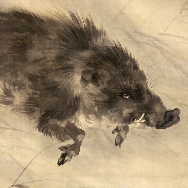 『猪図（部分）岸連山筆　江戸時代・19世紀ハーディ・ウィルソン氏寄贈』の画像