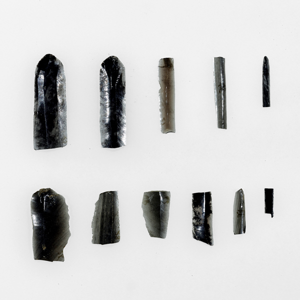Image of "Microblades, Found at Oketo Azumi Site, Hokkaidō, Paleolithic period, 18,000 BC (Gift of Mr. Matsudaira Yoshito)"
