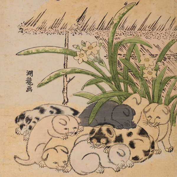 Image of "수선화와 강아지들（부분）이소다 고류사이　에도시대 18세기"