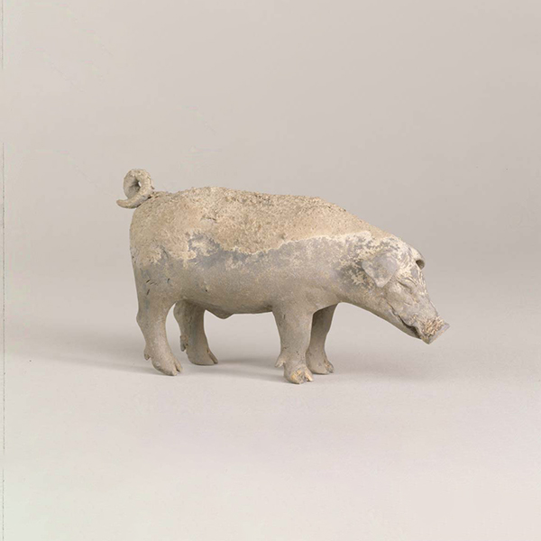 『灰陶豚中国　前漢時代・前2～前1世紀　広田松繁氏寄贈』の画像