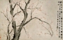 Image of "Plum Blossoms &mdash;the herald of spring"