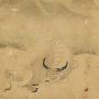 Image of "조선시대의 미술"
