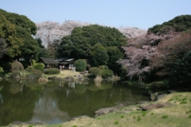 『庭園』の画像