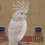 鸚鵡図 伊藤若冲筆 江戸時代・18世紀後半