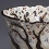 <i>Bowl, Cherry tree design in overglaze enamel and openwork</i><br /> By Ninnami Dohachi, Edo period, 19th century<br /> on exhibit until May 25, 2014