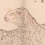 動物一枚摺　綿羊（揚州種）武田昌次記　中島仰山画　明治9年(1876)